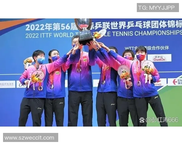 西安乒乓球队联赛表现分析团队配合与战术执行的关键因素探讨