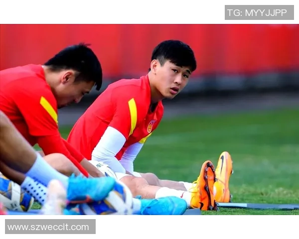 足球藏蔡的魅力与挑战探索中国足球发展的新路径与未来愿景