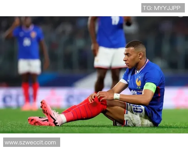 足球篮熊的奇幻冒险之旅探索运动与友谊的无限可能