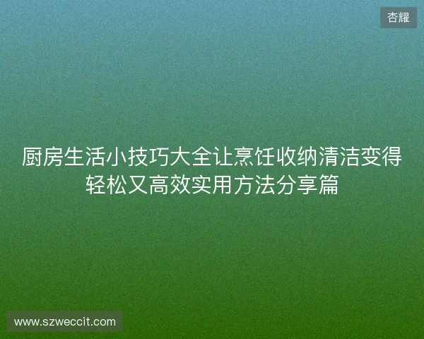 厨房生活小技巧大全让烹饪收纳清洁变得轻松又高效实用方法分享篇 厨房生活小技巧大全让烹饪收纳清洁变得轻松又高效实用方法分享篇