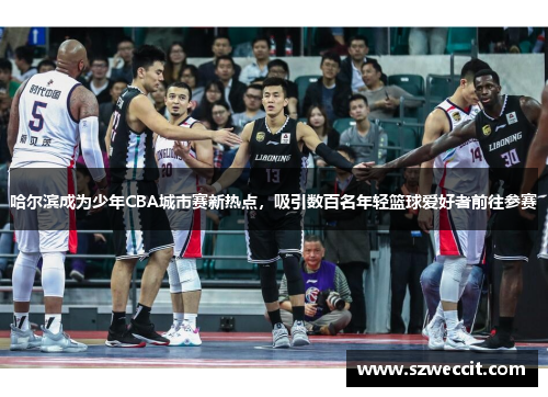 哈尔滨成为少年CBA城市赛新热点，吸引数百名年轻篮球爱好者前往参赛