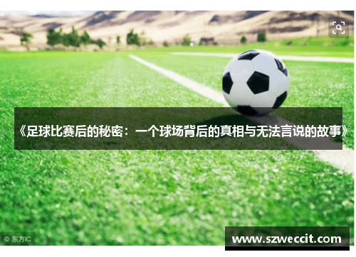 《足球比赛后的秘密：一个球场背后的真相与无法言说的故事》